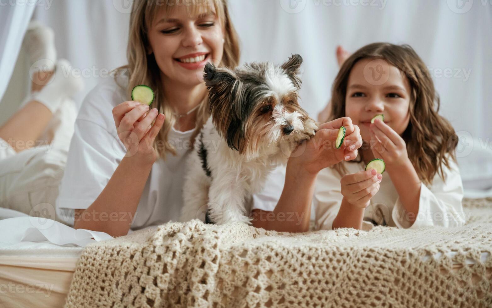 Playing, with,, little dog. Cucumbers beauty procedure conception. Mother with daughter are at home photo