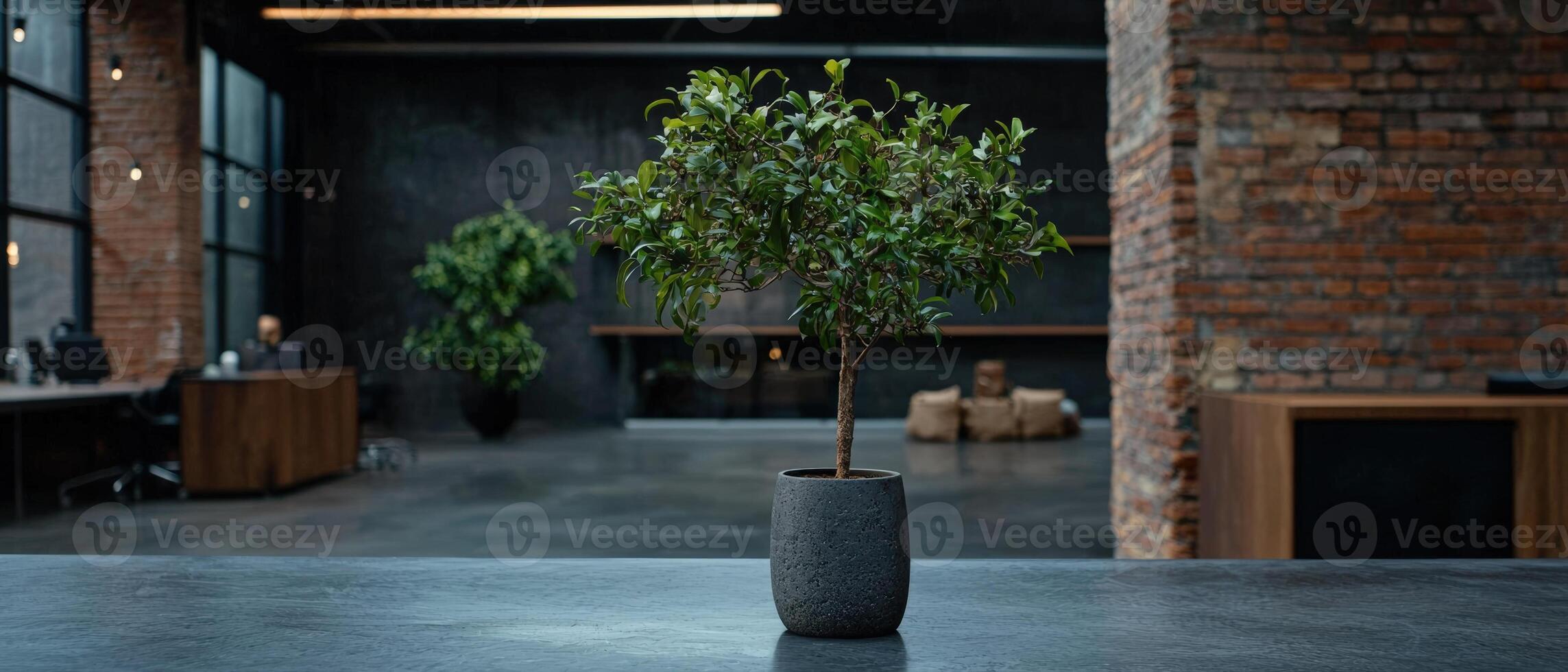 A small tree in a pot sits on a table in an office setting photo
