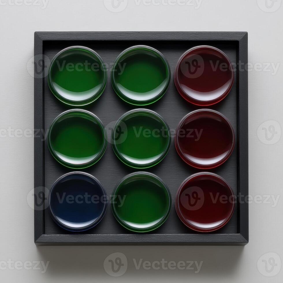 Overhead shot of colorful liquids in petri dishes arranged in a square tray photo