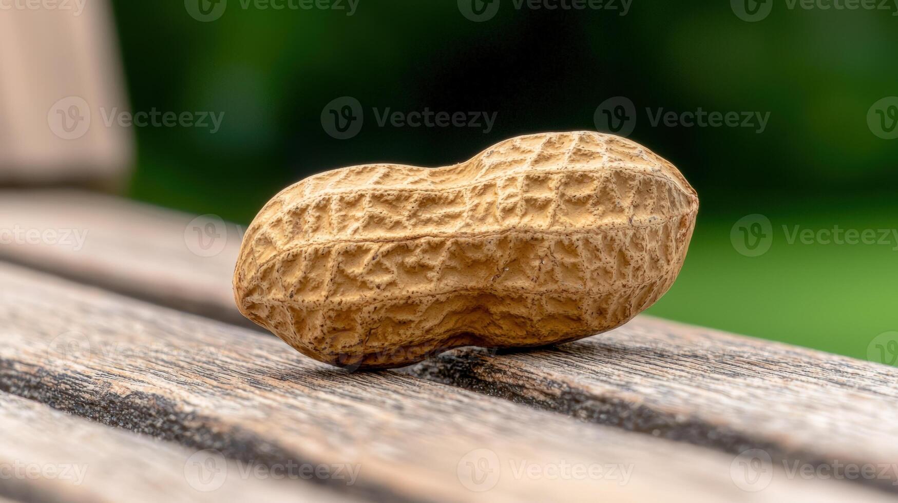 Textured peanut rests on weathered wooden surface photo