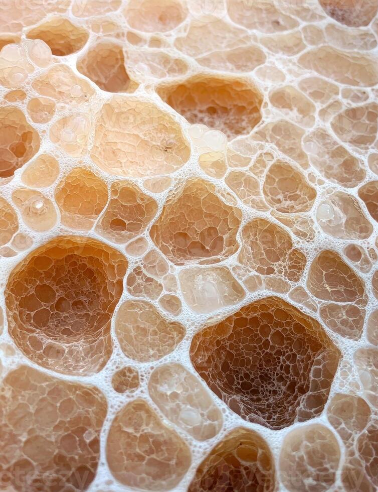Abstract porous texture with interlaced network of beige cells photo
