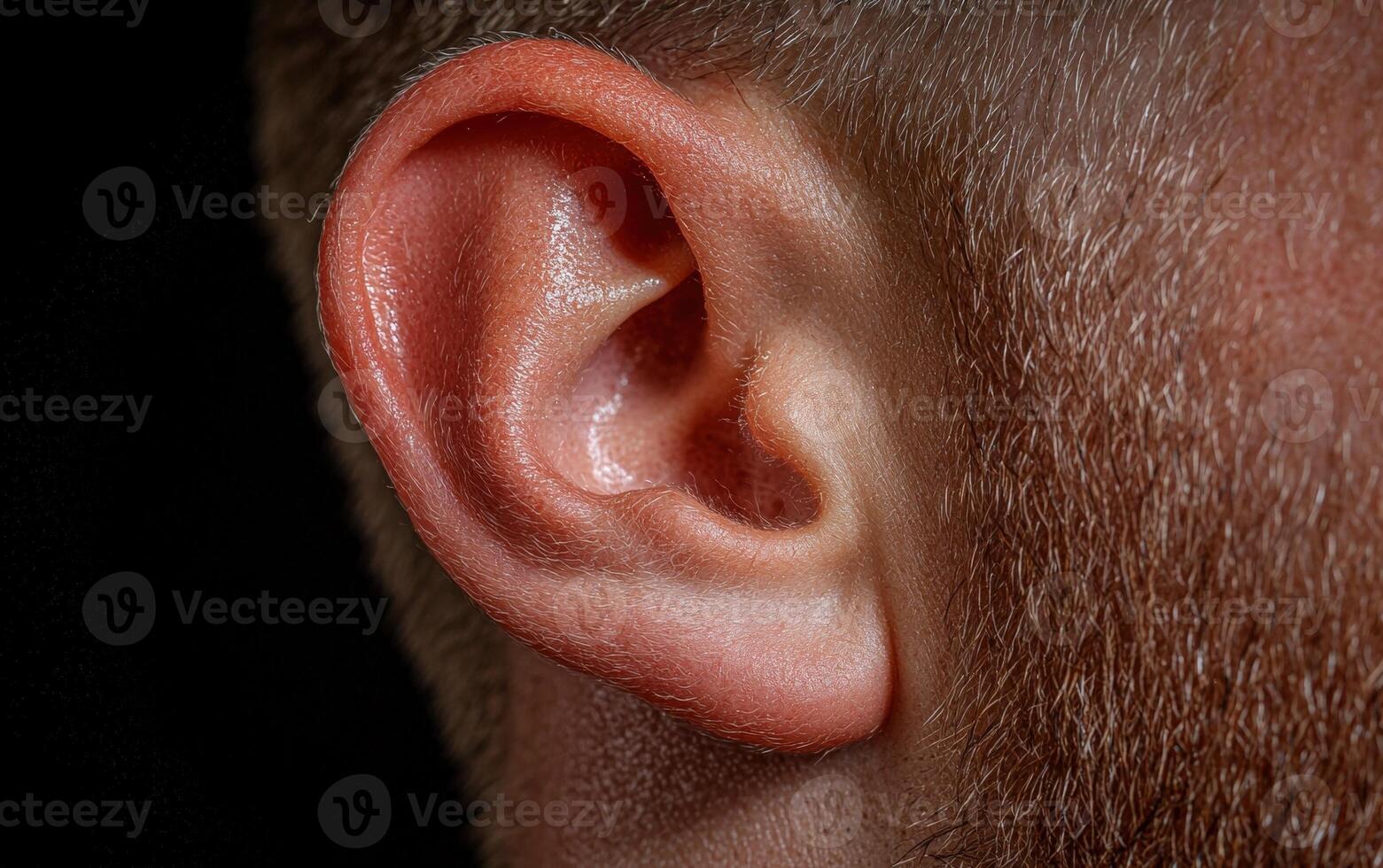 Detailed macro of a mans ear and hair photo