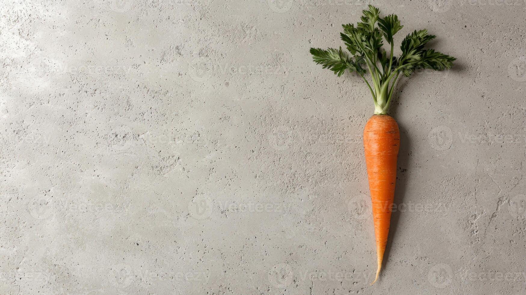 Fresh carrot with green leaves on a gray background photo