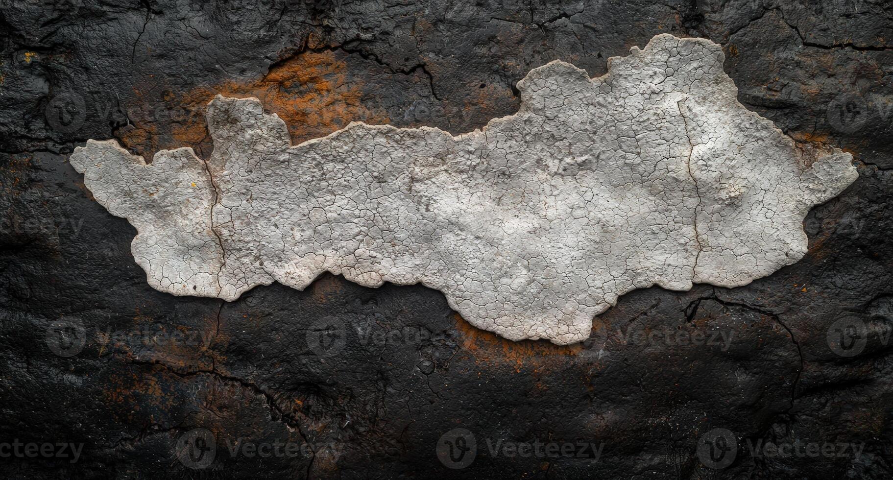 Cracked earth texture with abstract gray and black pattern photo