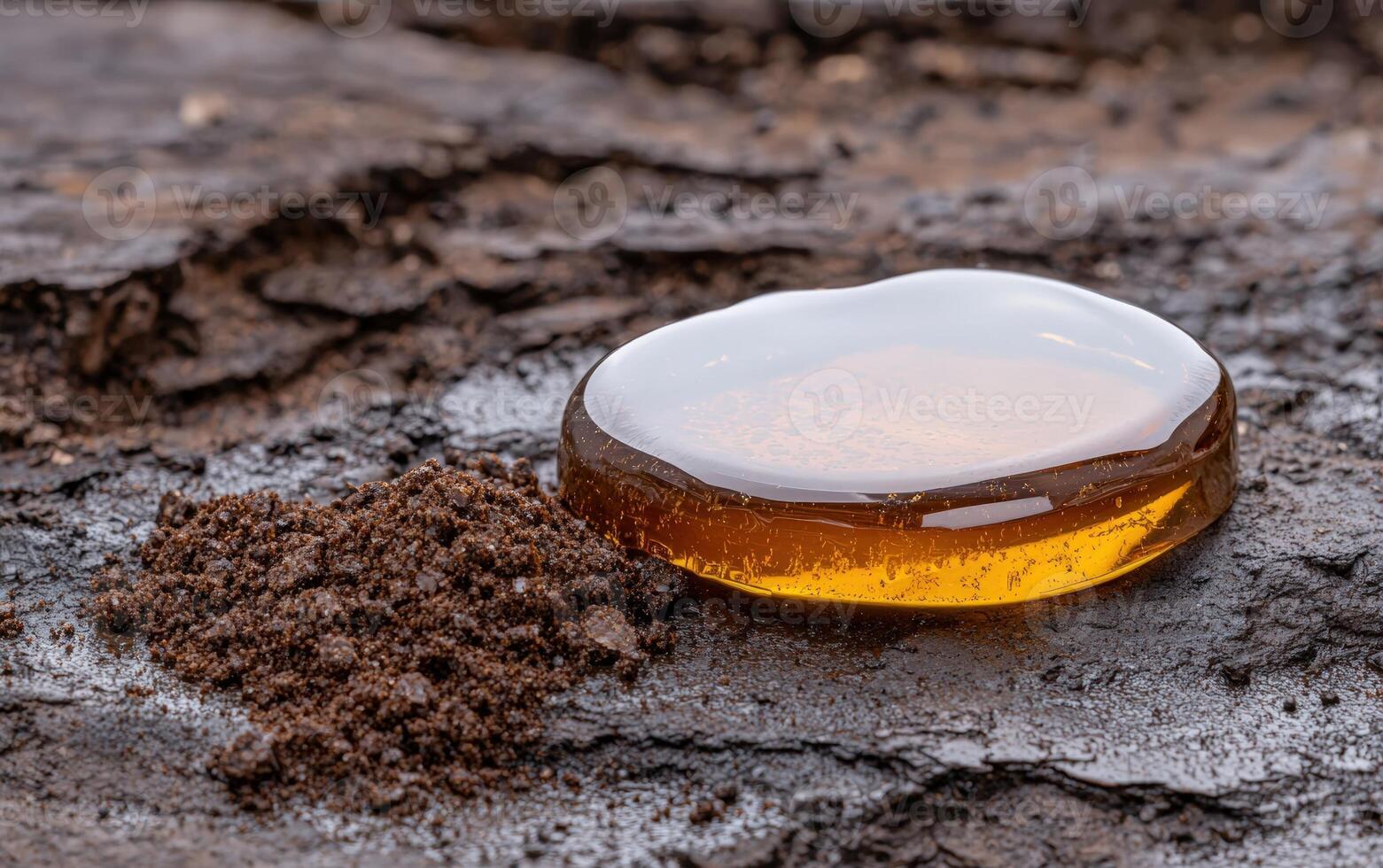 Amber resin drop on textured tree bark with soil photo