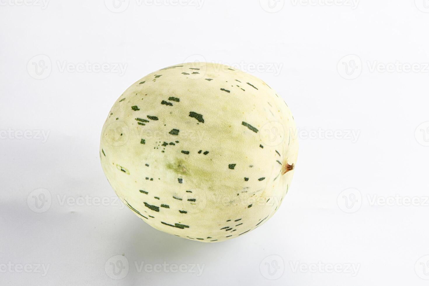 A white and green melon with black spots on it photo