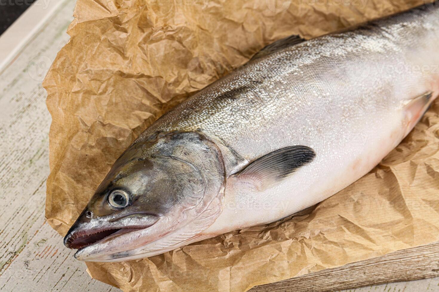 A fish on a piece of paper on a table photo