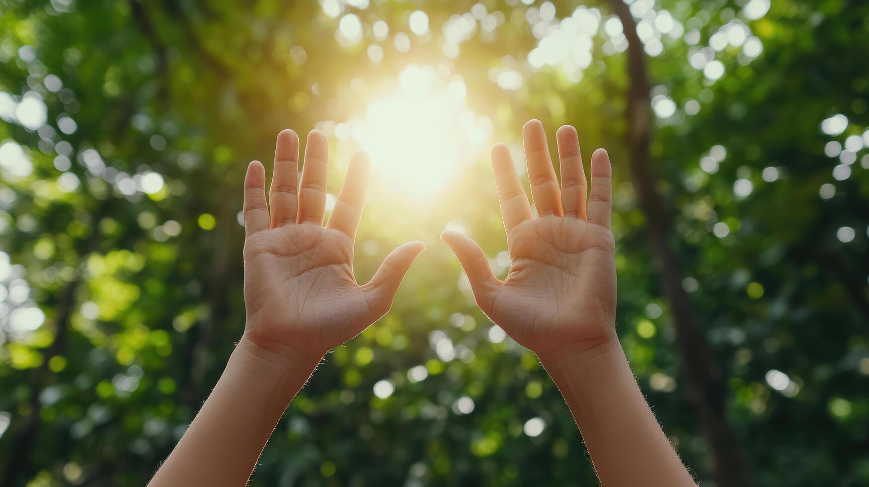 Reaching hands toward sunlight in lush green forest create serene atmosphere photo