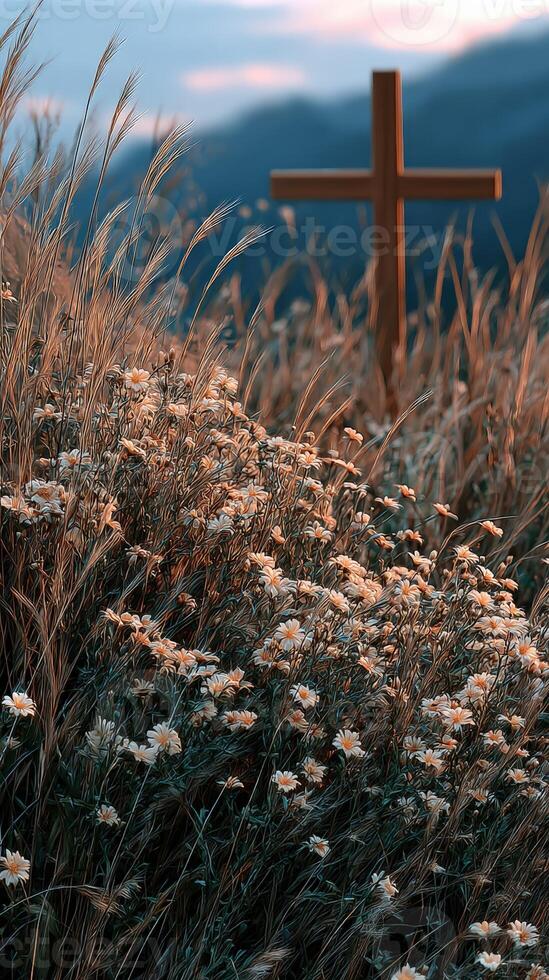 Field of flowers with a wooden cross at sunset photo