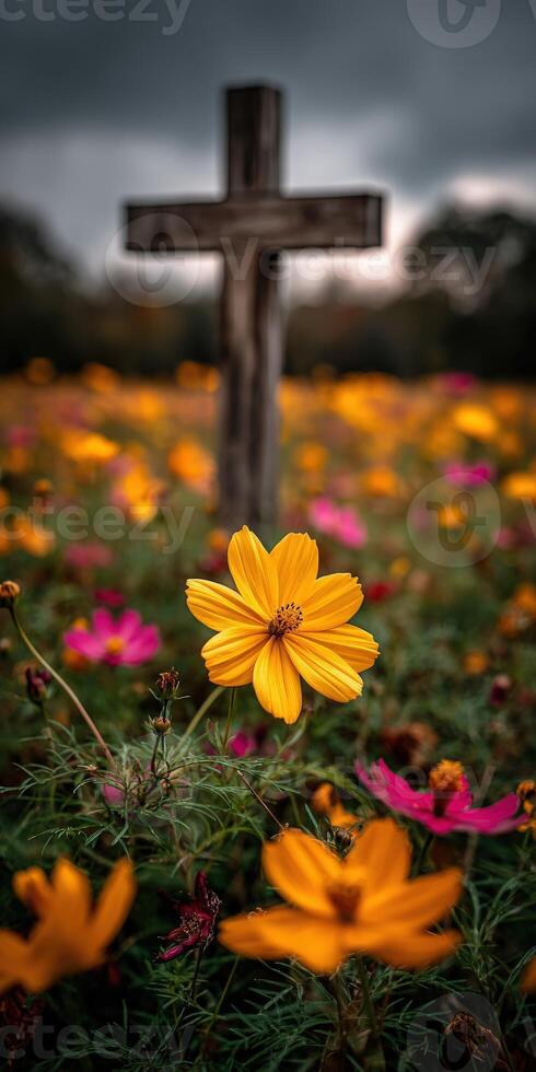 Vibrant flowers bloom near a wooden cross in a field photo