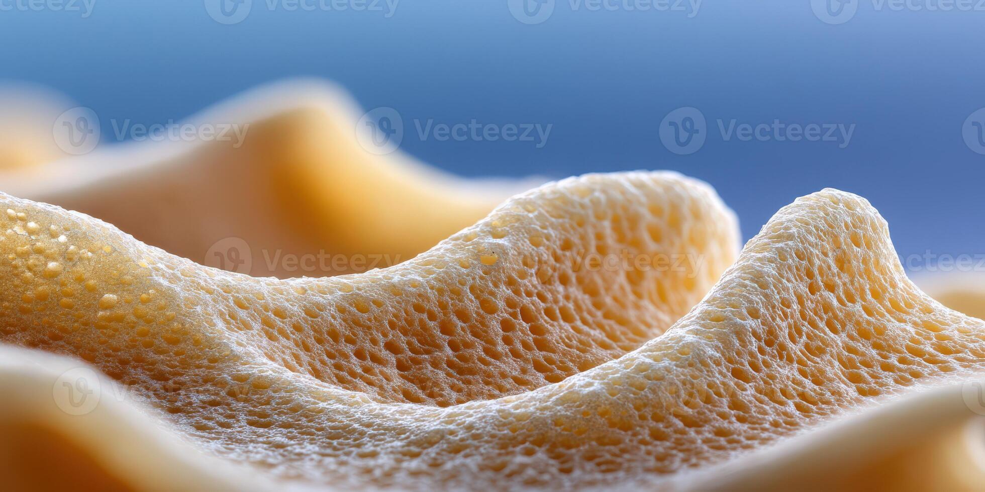 Close-up view of textured sponge in natural light photo