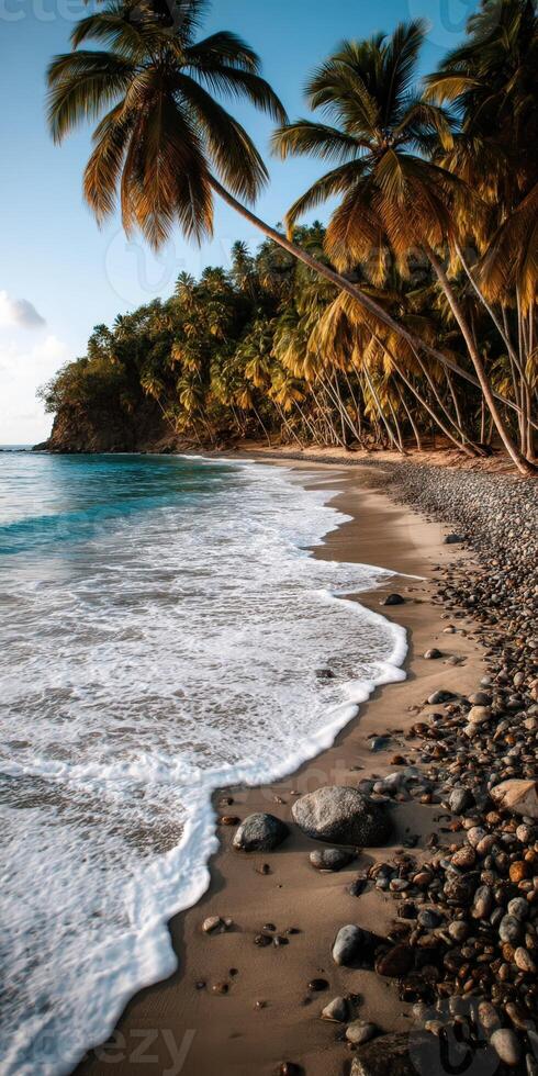 Coastal landscape with palm trees and gentle waves at sunset photo