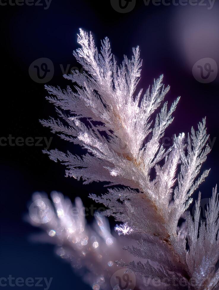 Frosty snowflake by james kennedy photo