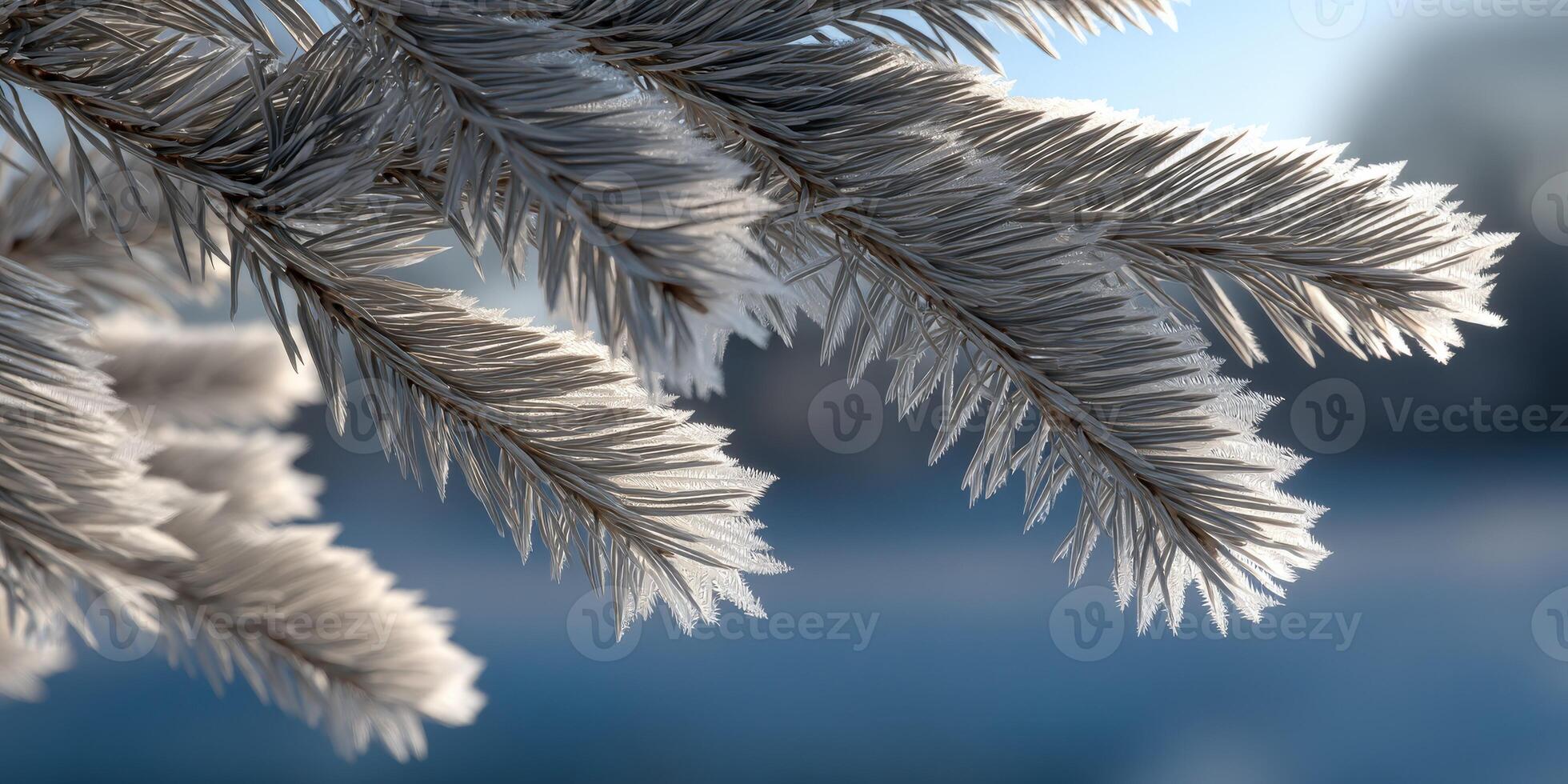 Frost-covered branches in a serene winter landscape photo