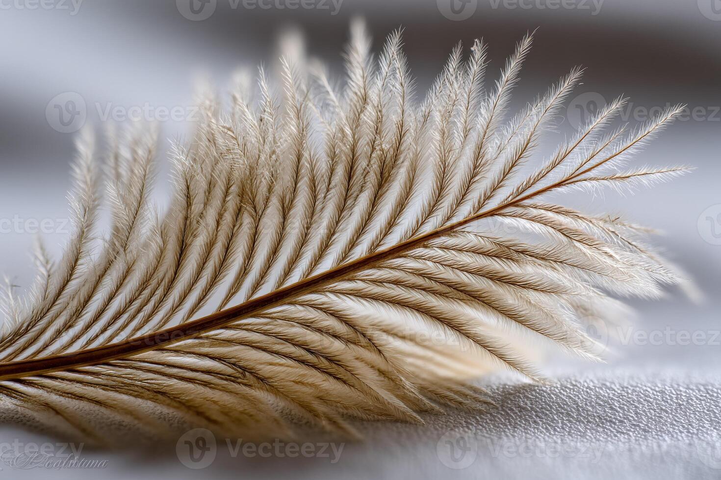 Delicate feather lying on a soft fabric surface photo