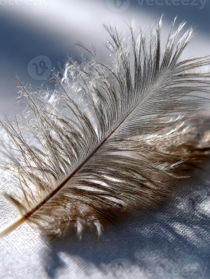 Delicate feather resting on soft fabric surface photo