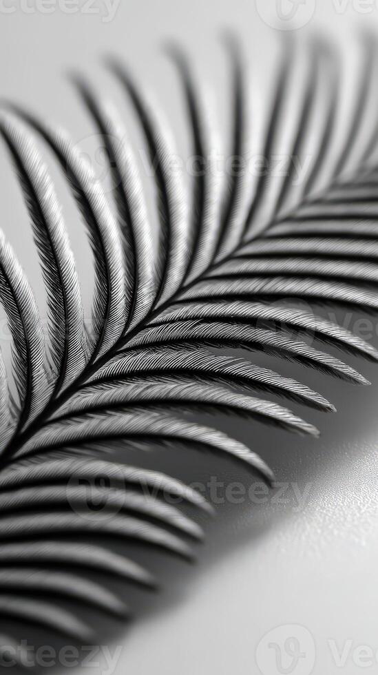 Detailed close-up of a palm leaf on a white surface photo