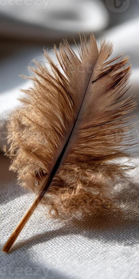 Soft brown feather resting on white fabric surface photo