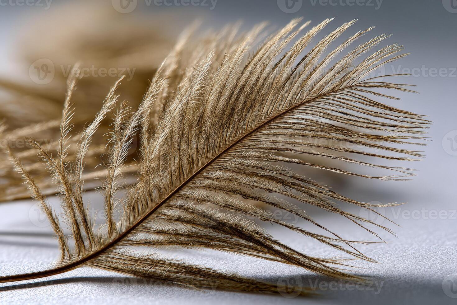 Delicate golden grass fronds on a soft surface photo