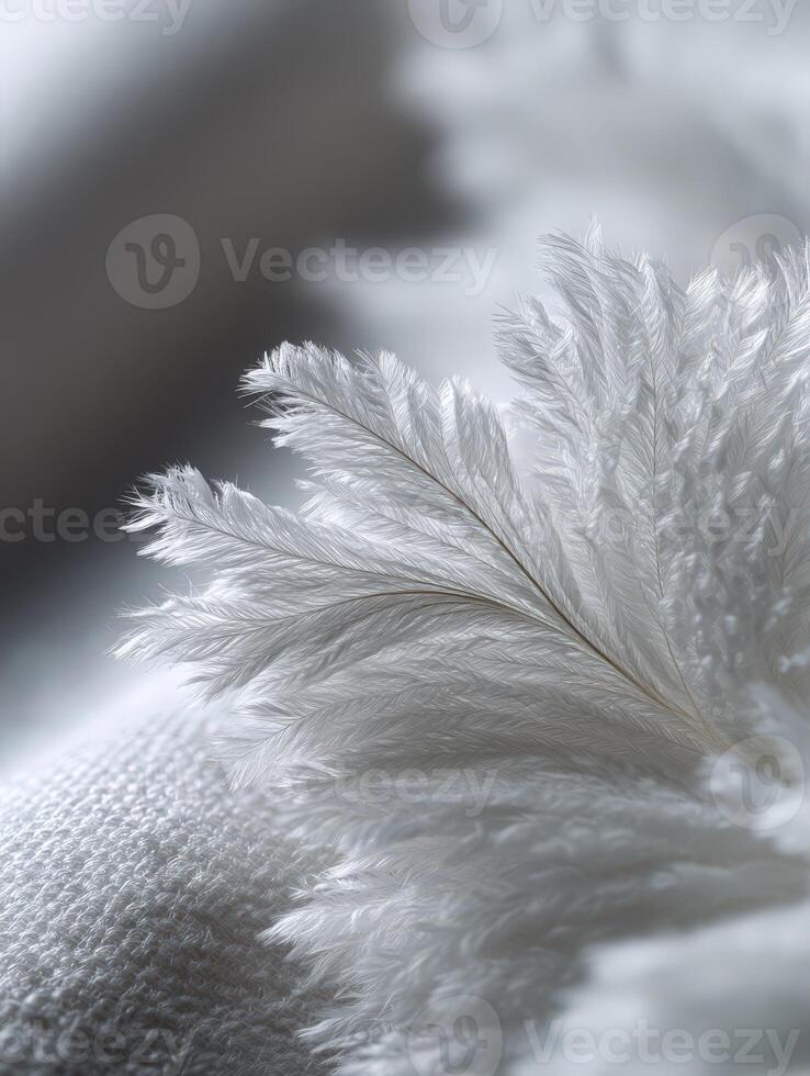 Soft white feathers gently resting on fabric photo