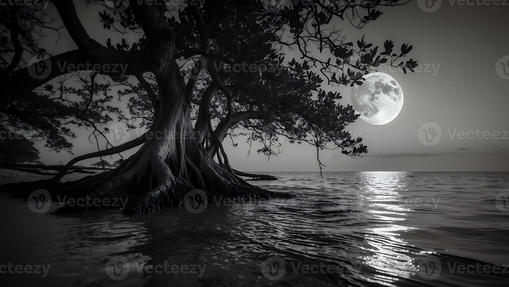Tree Under Moon at Night Near Water photo
