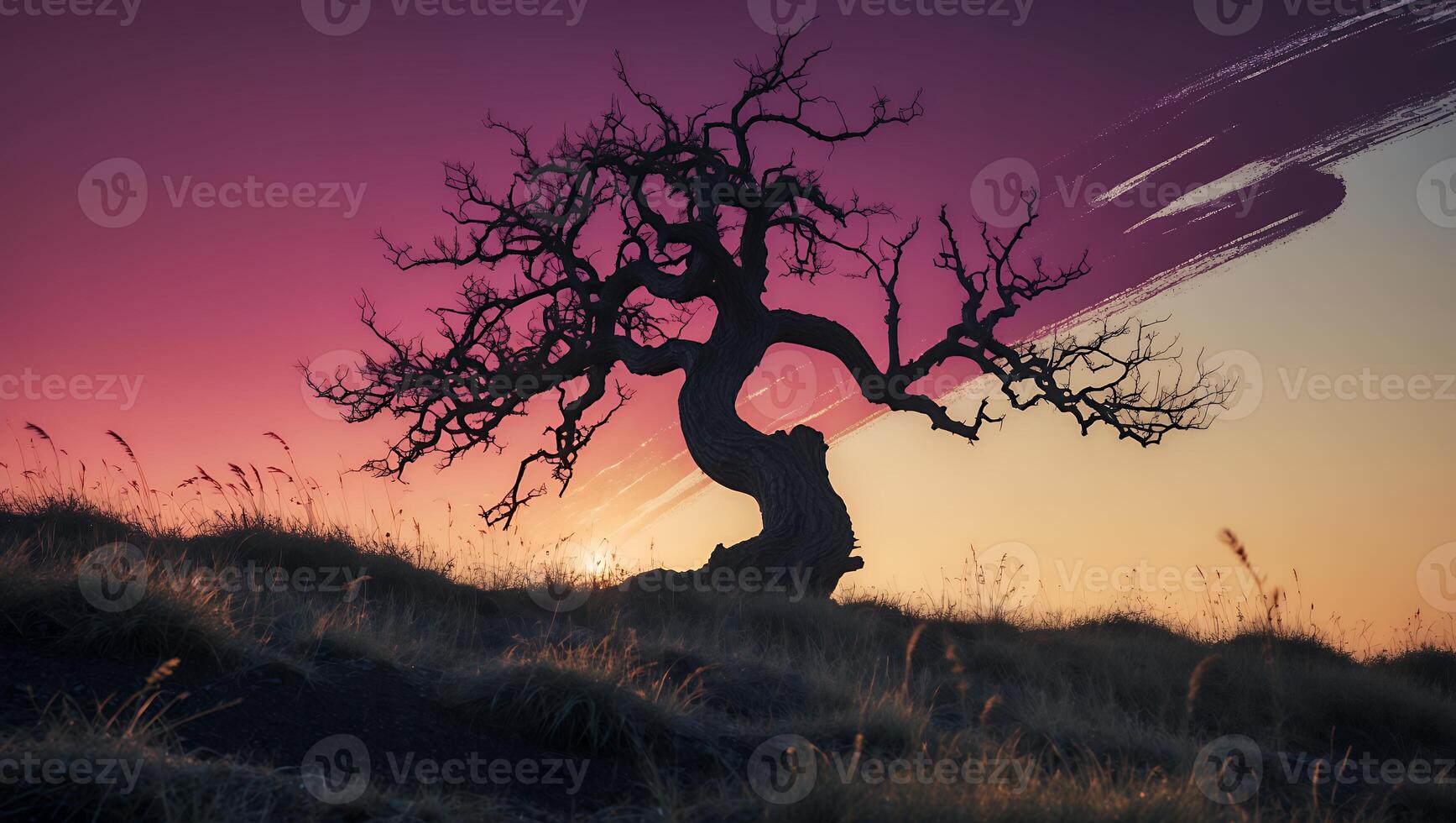 Silhouette of a Twisted Tree Against Sunset Landscape photo