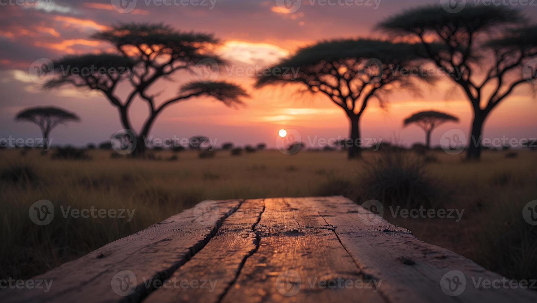 African Savanna Landscape with Acacia Trees at Sunset photo