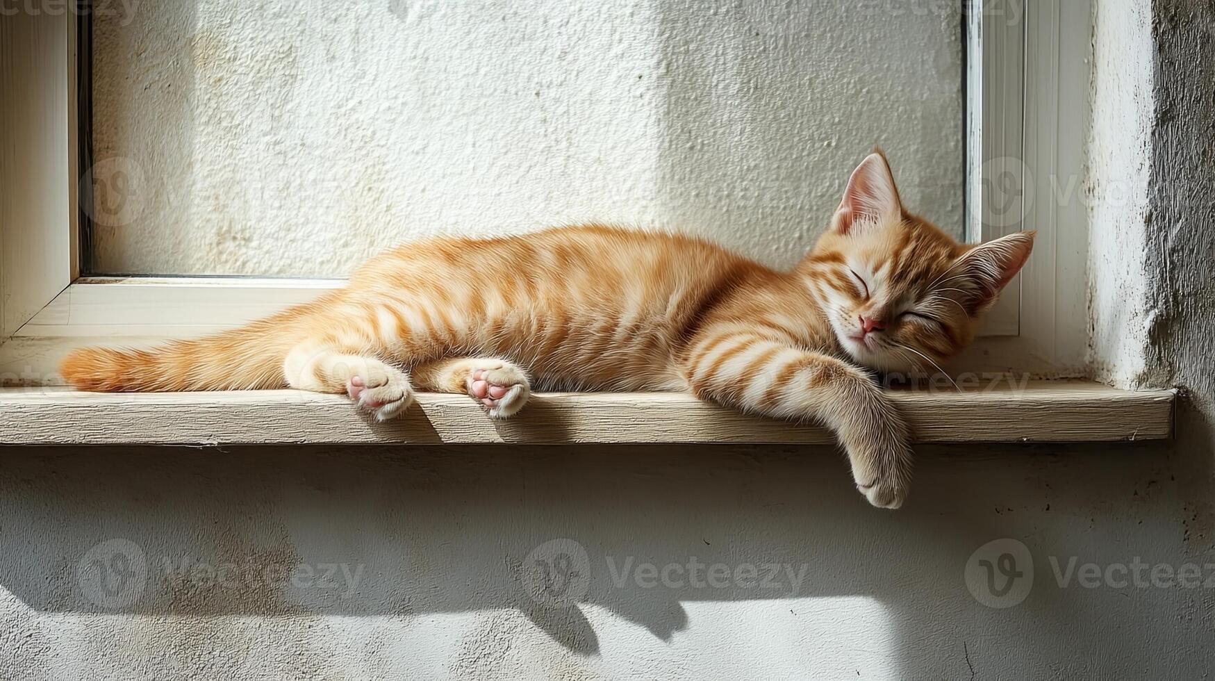 A kitten sleeping on a window sill photo