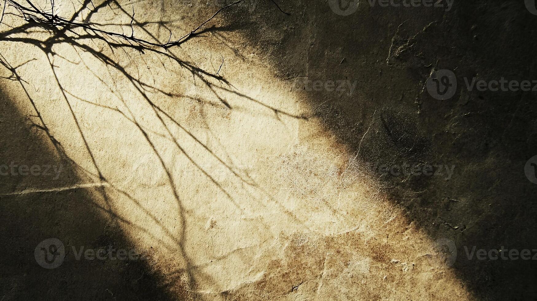 Tree Branch Shadow on Wall photo