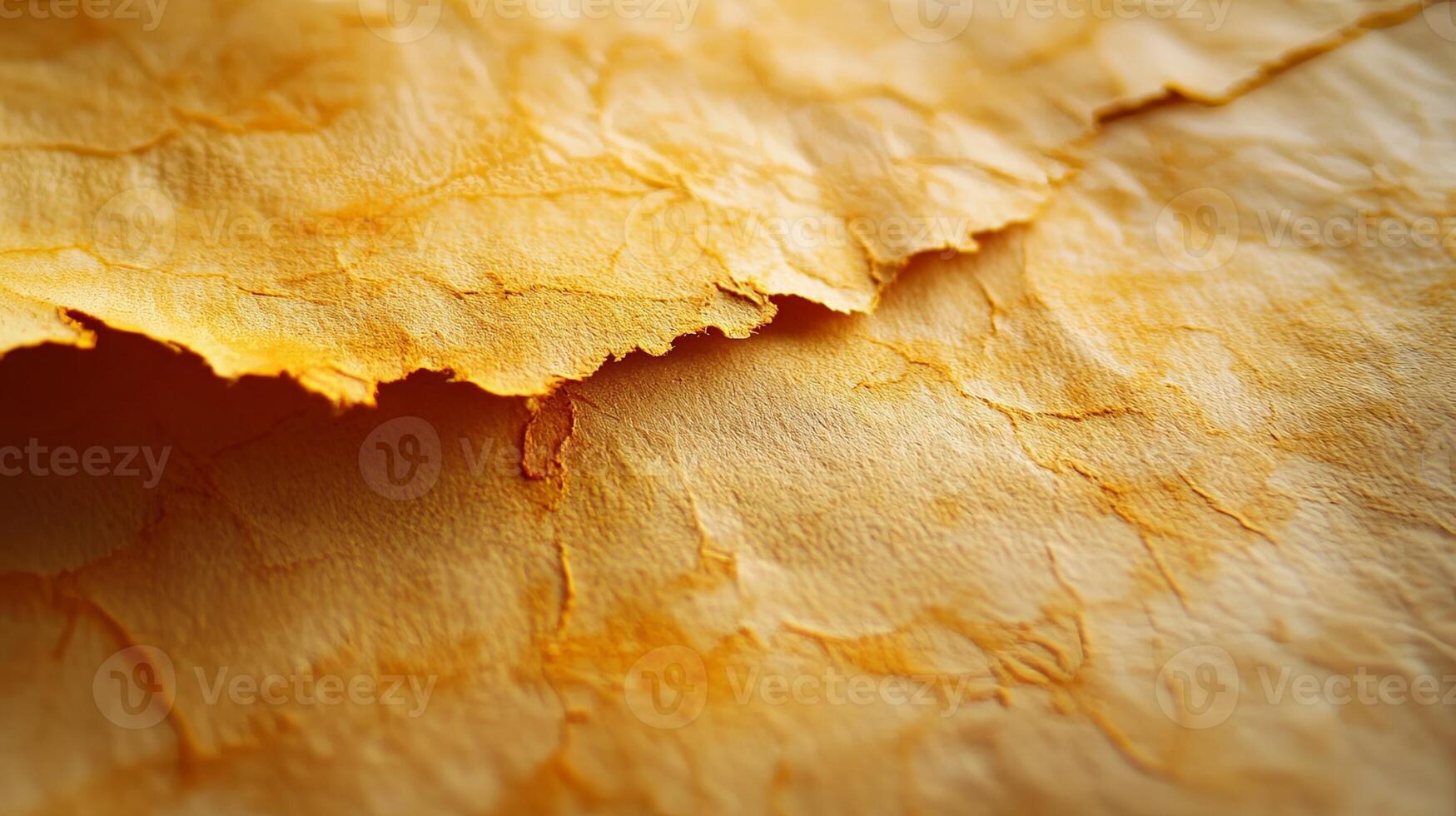 Torn Paper with Circular Hole on White Background for Creative Design photo