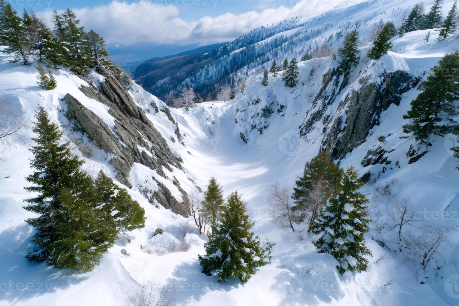 Snowy canyon with pine trees growing on its sides in the Italian Alps photo