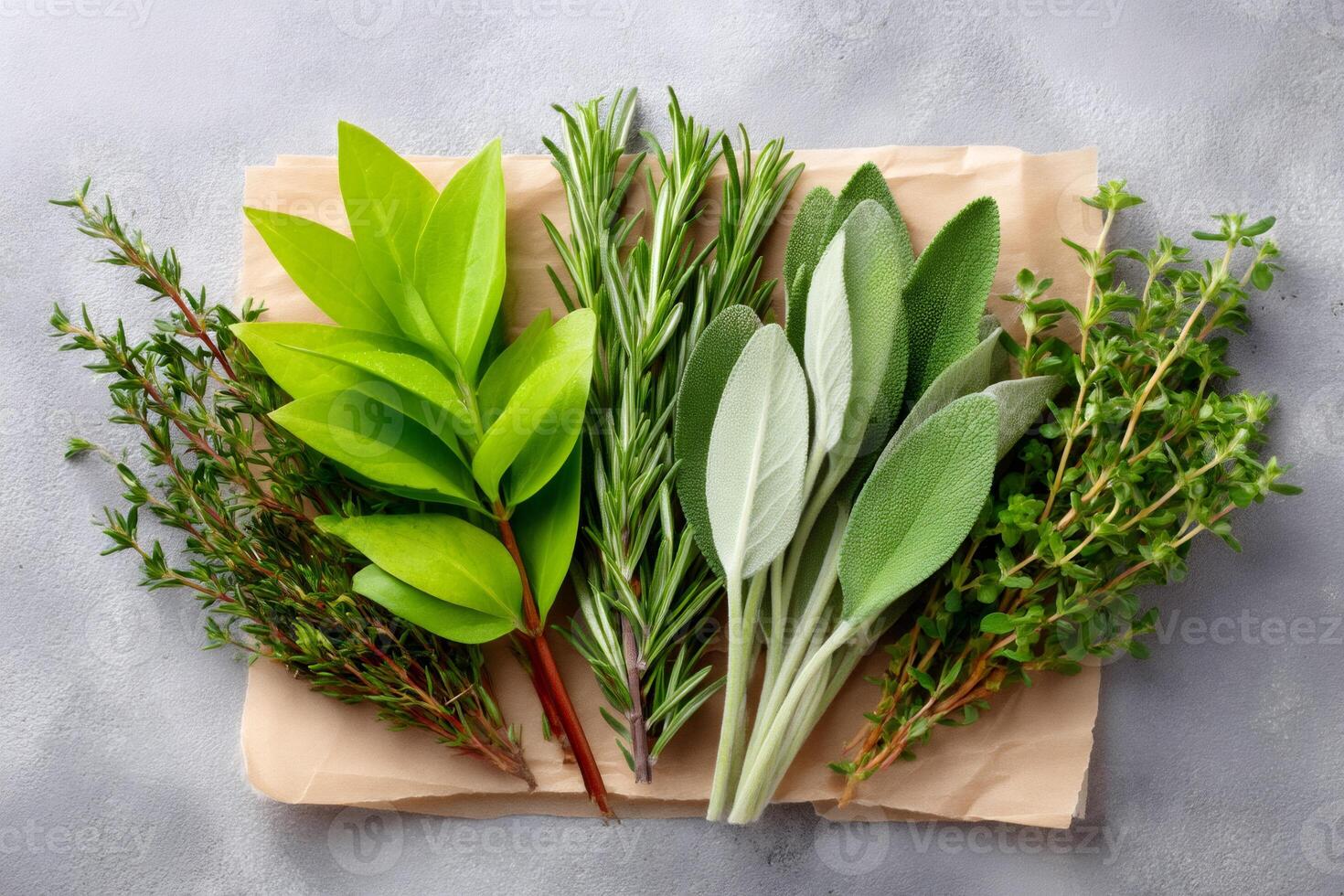 Fresh herbs, thyme, rosemary and sage lying on brown paper on gray background photo