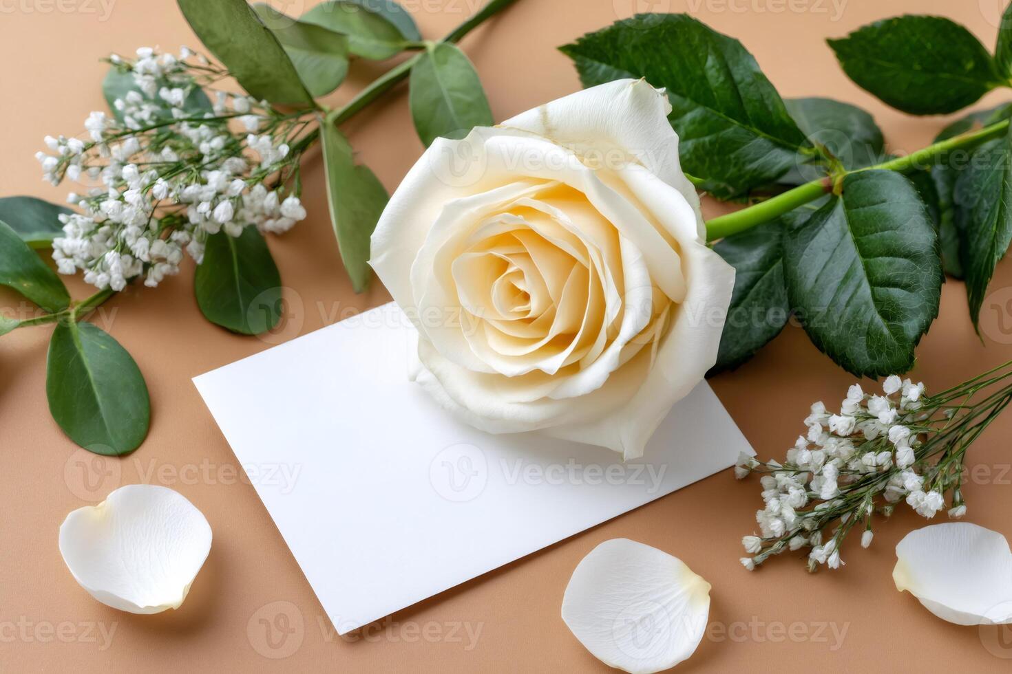 White rose lying on blank greeting card with gypsophila and eucalyptus on beige background photo