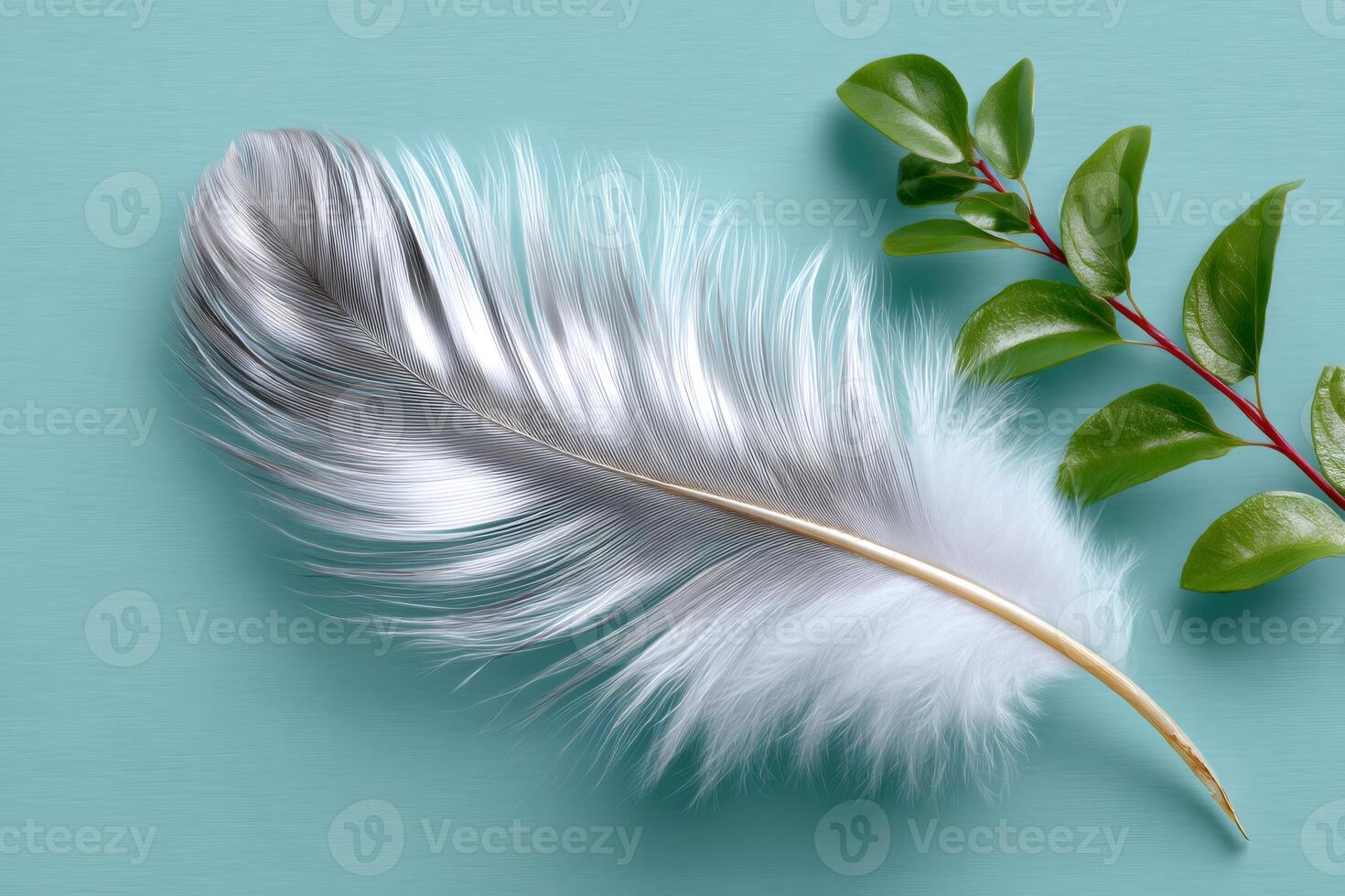 Soft white feather and green twig lying on a turquoise background photo