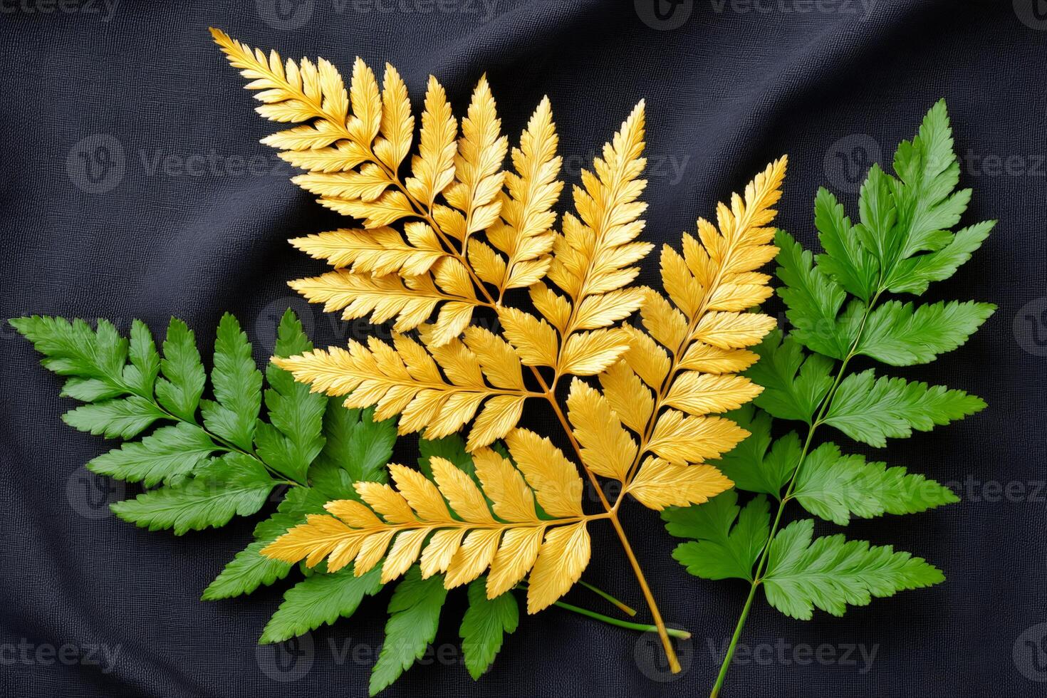 Golden and green fern leaves creating beautiful contrast on black cloth photo