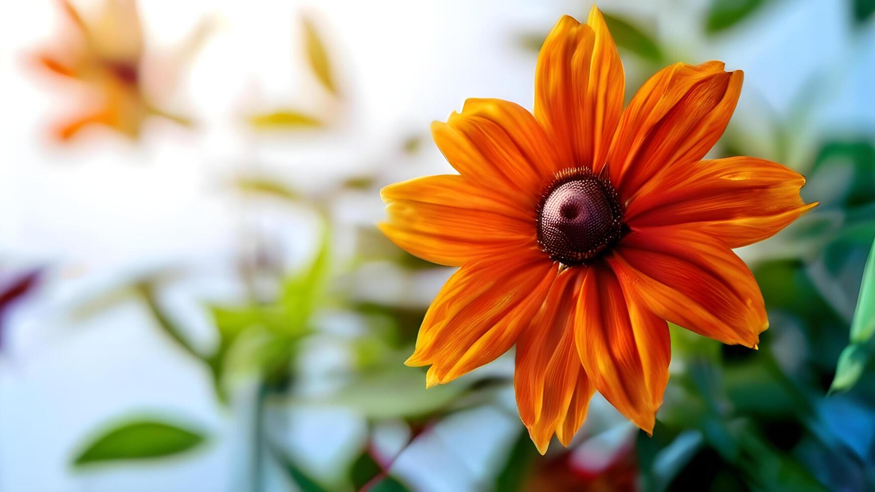 Stock Image Flower Close-up photo