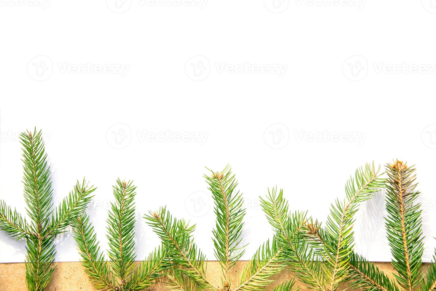 Evergreen branches arranged on a simple background for seasonal decoration in a cozy indoor setting photo