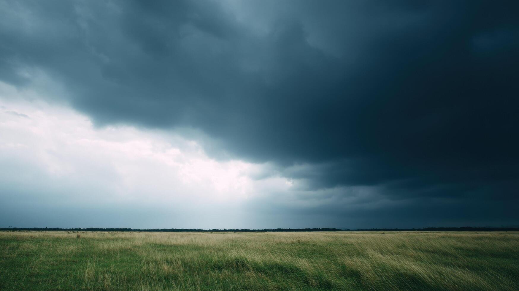 Storm clouds gathering over vast green grass field creating a dramatic and moody natural landscape with contrasting dark sky and peaceful open countryside scenery. photo