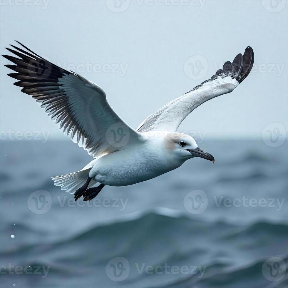 A white and gray albatross flying over the ocean with its wings spread, the sky is cloudy and gray photo