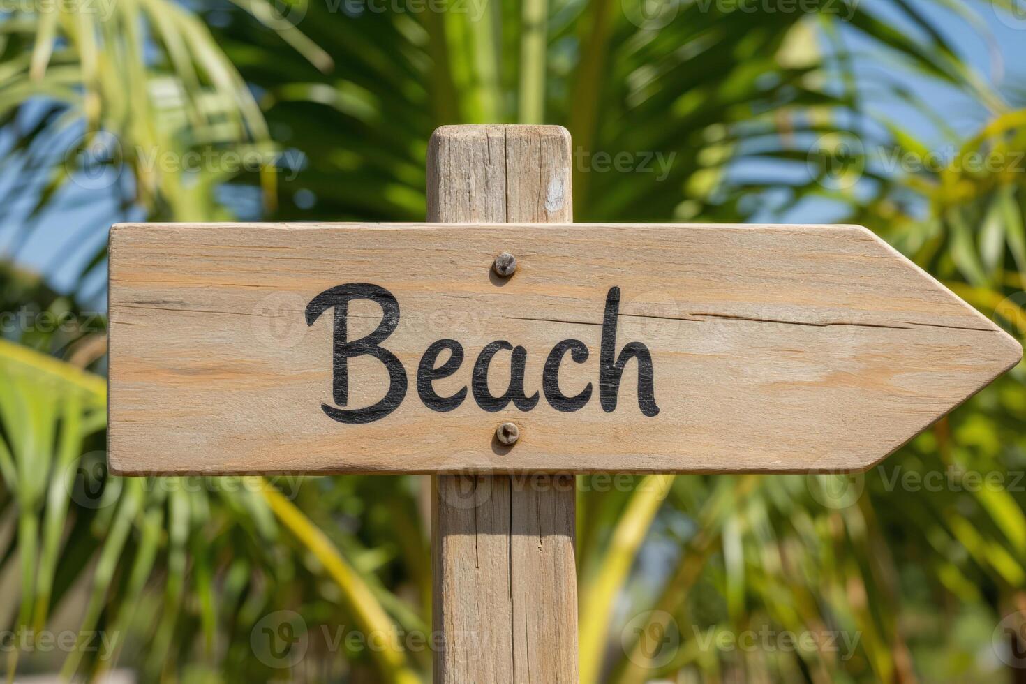 A wooden sign with the word Beach written on it, with a palm tree in the background photo