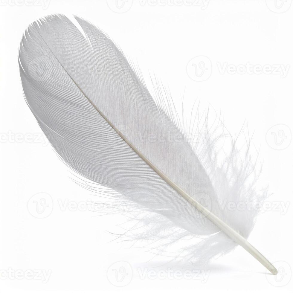 Feather over white background photo