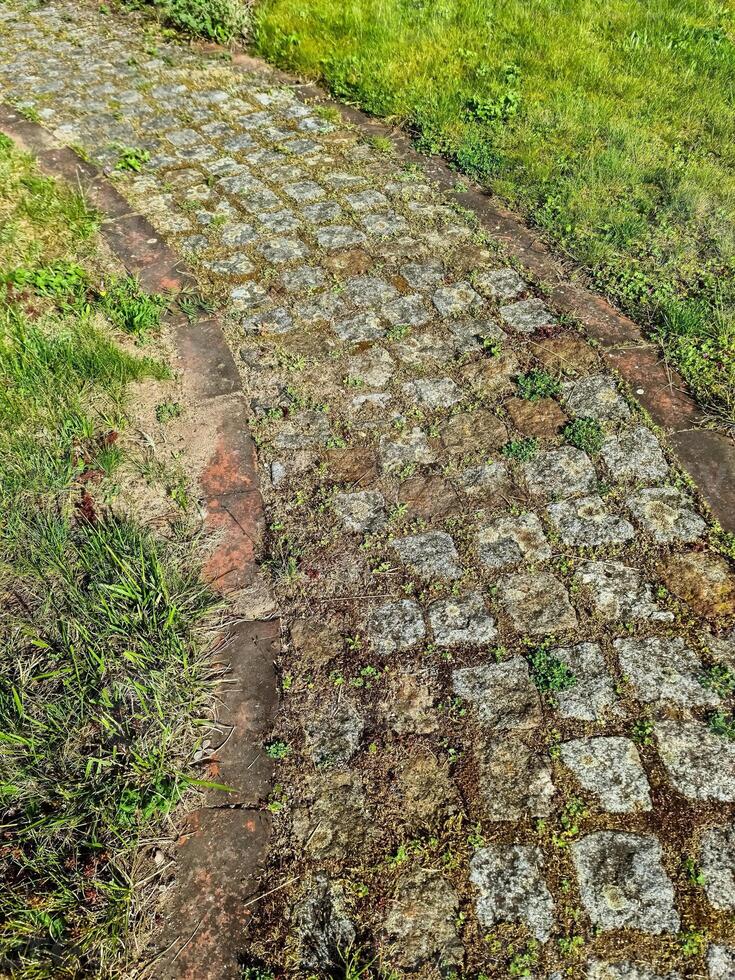 Stone paved garden path with grass growing between tiles photo