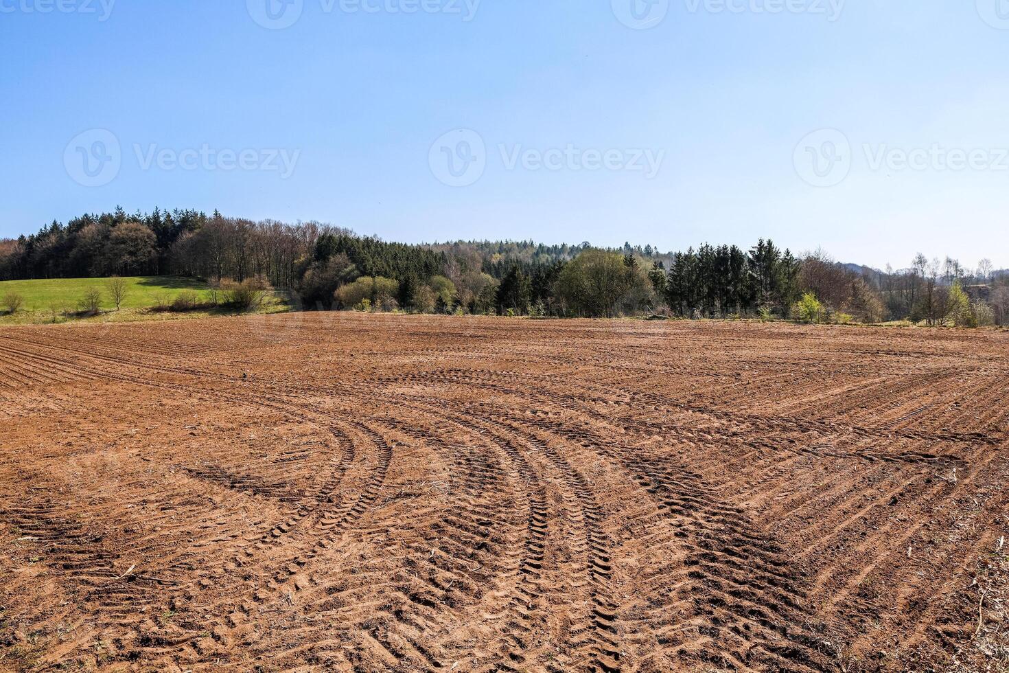 Plowed field with tractor tracks and forest in background under blue sky photo