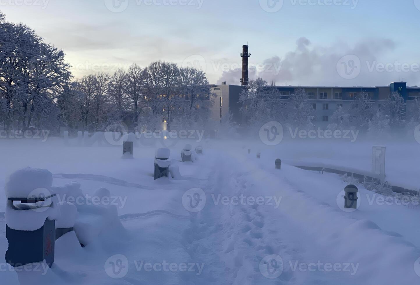 Winter landscape with deep snow, heavy frost, and misty atmosphere at dawn photo