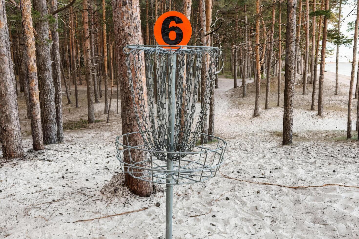 A disc golf basket with a bright orange number 6 marker stands on a sandy forest course surrounded by tall pine trees. photo