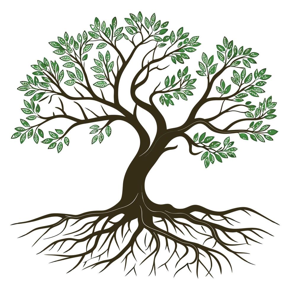 Tree With Roots on white background vector