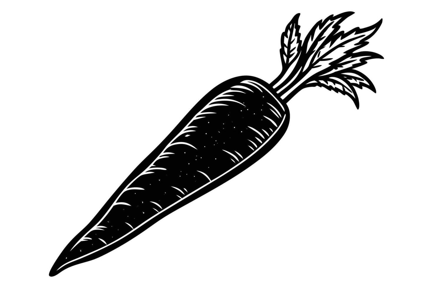 Hand drawn carrot silhouette on white background vector