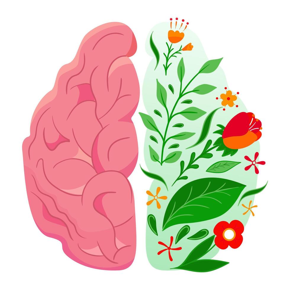Two halves of the brain with flowers and leaves vector