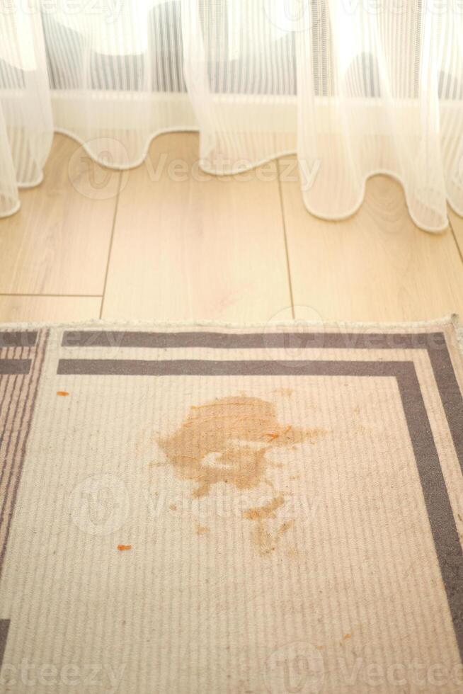 Stain on rug near window, sunlight streaming in softly photo