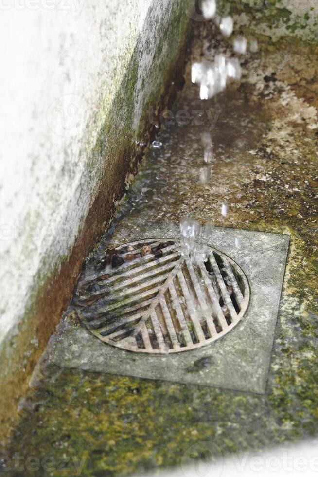Water dripping from a drain into a mossy area during rainy weather photo